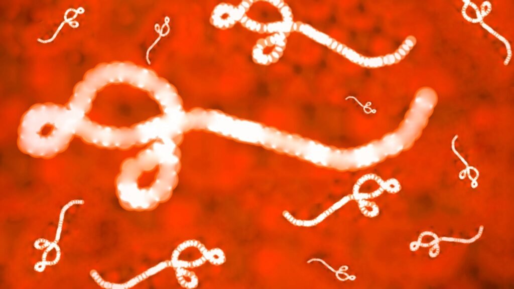 Pesquisa avança no combate ao vírus Ebola. (Foto: Getty Images via Canva)