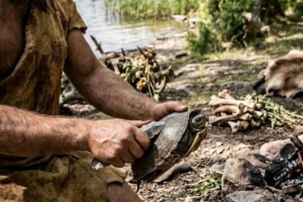neandertais
