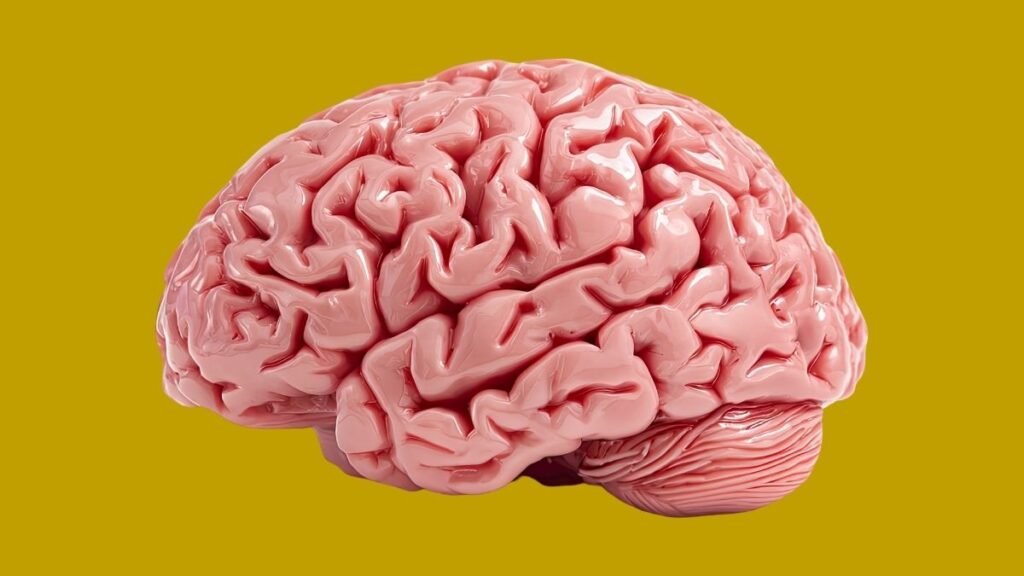 Ômega-3 atua na inflamação e função cerebral. (Foto: Getty Images via Canva)