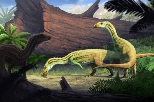 Ilustração mostra o Sonselasuchus cedrus vivendo há 215 milhões de anos no Arizona (Imagem: Gabriel Ugueto)