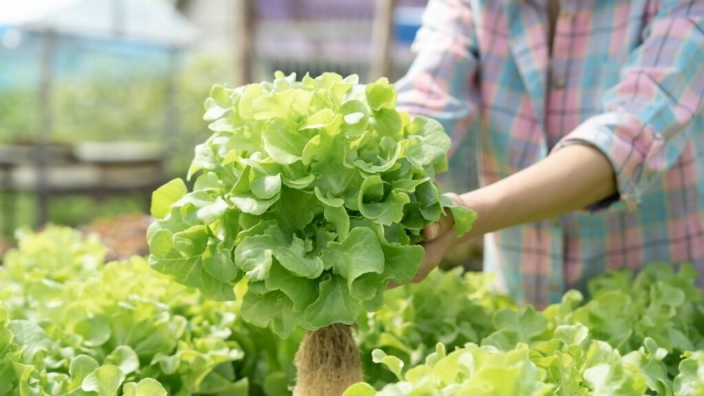 Resíduos de pesticidas em alimentos preocupam a saúde. (Foto: Shisuka via Canva)
