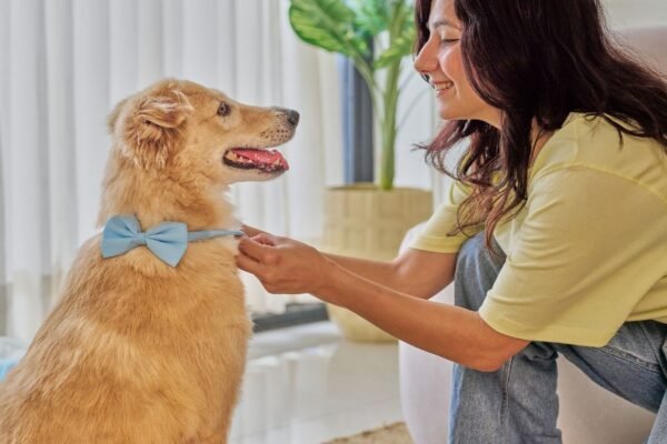 Estudo não encontrou melhora na saúde com pets. (Foto: Studio India via Canva)