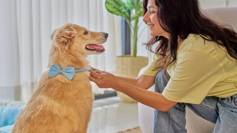 Estudo não encontrou melhora na saúde com pets. (Foto: Studio India via Canva)