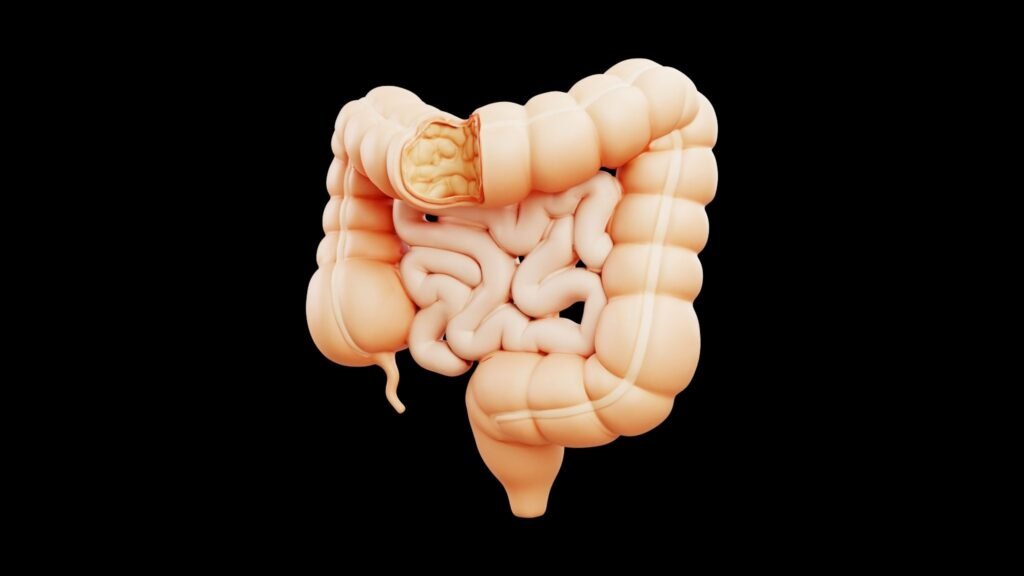 Intestino deixa de abrigar reservatórios detectáveis do HIV. (Foto: The Creative Idea via Canva)
