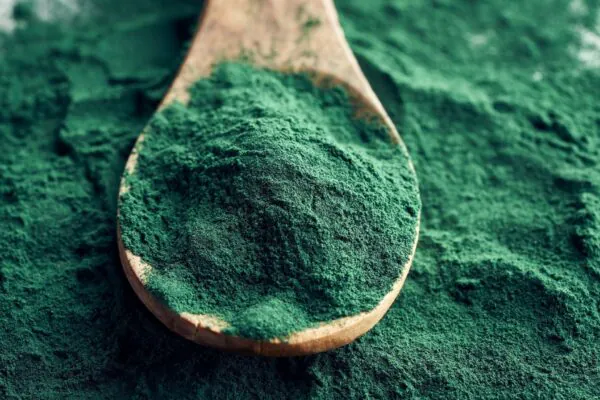 Spirulina é rica em proteína e antioxidantes. (Foto: Madelein Estein Bach via Canva)