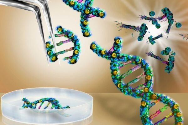 CRISPR permite corrigir erros no DNA humano. (Foto: Sciencephoto via Canva)