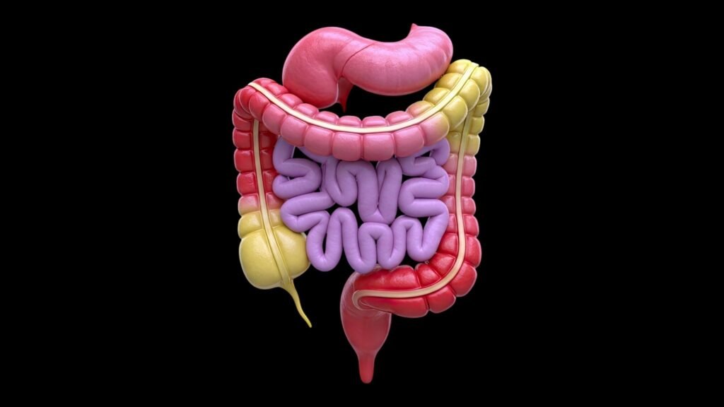 Intestino e cérebro reagem ao término amoroso. (Foto: Citeprojects via Canva)