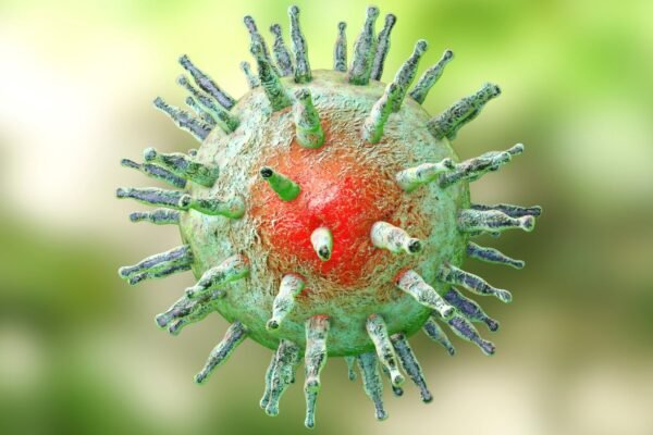 Nova estratégia tenta impedir infecção por vírus EBV. (Foto: Science Photo Library via Canva)