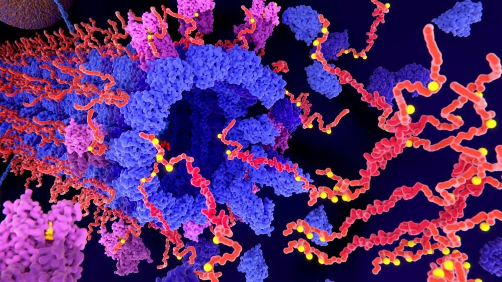 Proteína tau associada ao Alzheimer pode ser influenciada por fatores da meia-idade. (Foto: Getty Images via Canva)