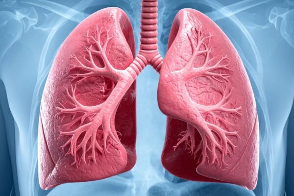 Vitamina D baixa pode afetar seus pulmões. (Foto: TrueCreatives via Canva)