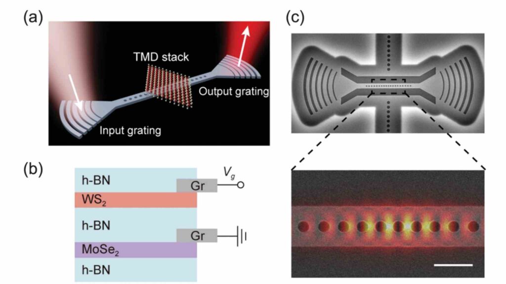 Esquema mostra nanocavidade com polaritons excitônicos e estrutura semicondutora ultrafina ajustável eletricamente. (Imagem: Zhi Wang, Bumho Kim, Bo Zhen, Li He. Physical Review Letters, 2026)
