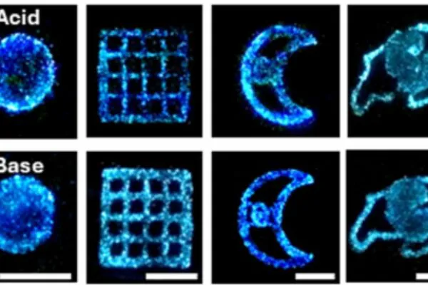 Estruturas impressas em 3D emitiram brilho mais intenso após estimulação química em ambiente ácido. (Imagem: Brachi et al., Sci. Adv.)