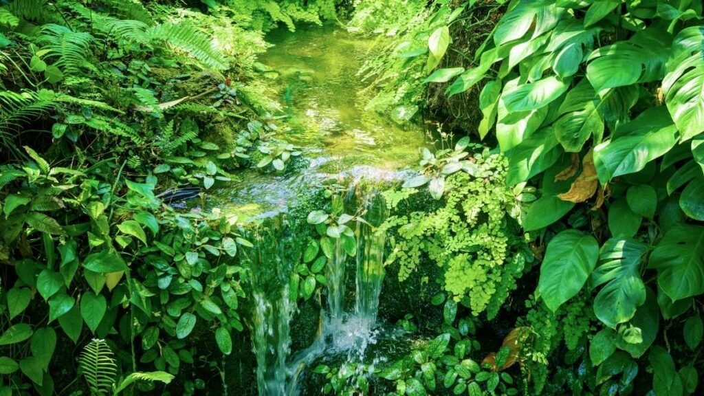 Estudo alerta para ameaça crescente às plantas essenciais para a vida no planeta. (Imagem: Getty Images via Canva)

