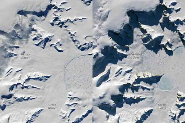 Imagens mostram a geleira Hektoria recuando rapidamente após perder enormes blocos de gelo flutuante. (Imagem: NASA/ Lauren Dauphin)