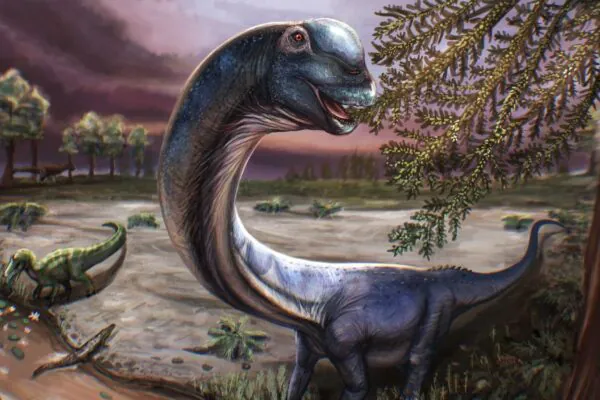 Gigante pré-histórico descoberto na Tailândia pode ser o último grande titã da Ásia. (Imagem: Patchanop Boonsai)