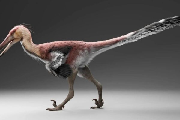 Novo dinossauro da Patagônia pode ter capturado peixes como garças modernas gigantes (Imagem: Gabriel Díaz Yantén)