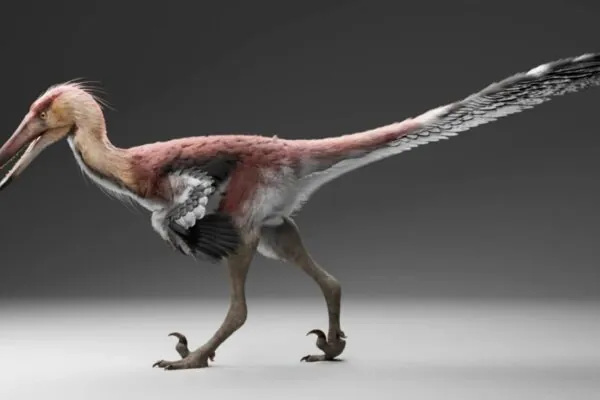 Novo dinossauro da Patagônia pode ter capturado peixes como garças modernas gigantes (Imagem: Gabriel Díaz Yantén)