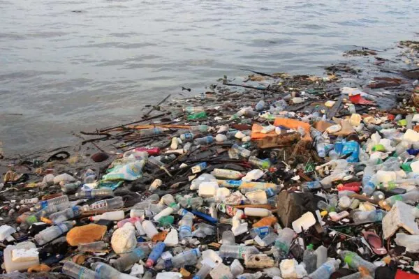 Poluição dos oceanos ameaça vida marinha e pode chegar ao seu prato (Imagem: Getty Images via Canva)