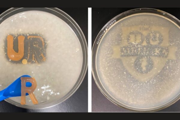 Bioadesivos com bactérias podem acelerar decomposição de plásticos diretamente nos oceanos. (Imagem: Louise He, Universidade de Rochester)