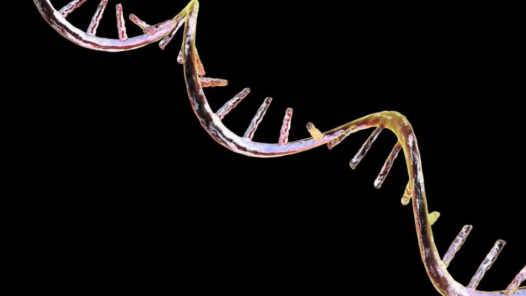 Pesquisa revela RNA ligado ao câncer de mama. (Foto: Getty Images via Canva)