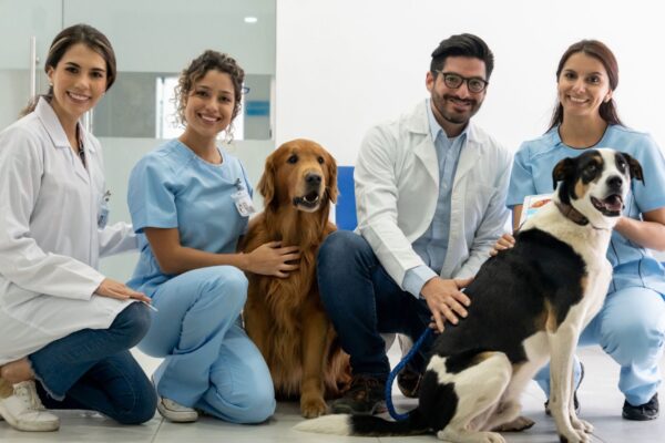 Animais no trabalho fortalecem relações sociais. (Foto: Getty Images via Canva)