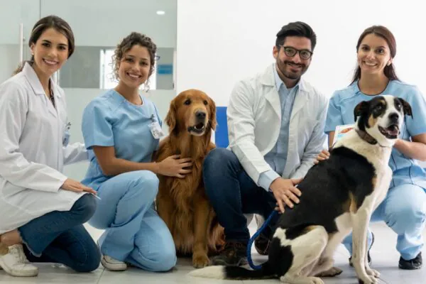 Animais no trabalho fortalecem relações sociais. (Foto: Getty Images via Canva)