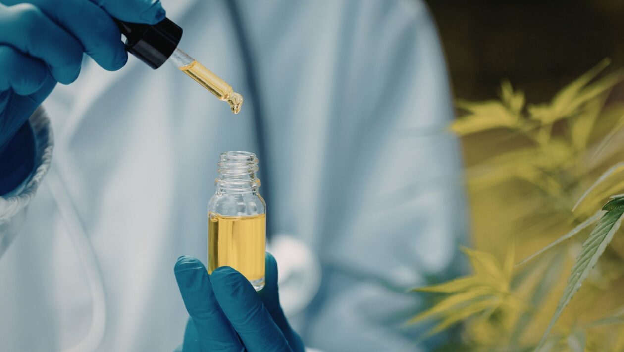 Cannabis medicinal cresce entre mulheres no Brasil. (Foto: Smaranda Dragan's Images via Canva)