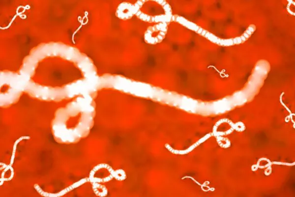 Agente infeccioso responsável por surtos na África. (Foto: Getty Images via Canva)