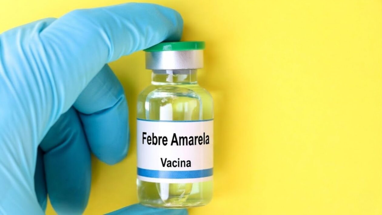 Caso em macaco aumenta alerta para febre amarela. (Foto: Getty Images via Canva)