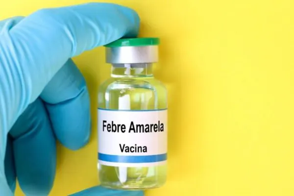 Caso em macaco aumenta alerta para febre amarela. (Foto: Getty Images via Canva)