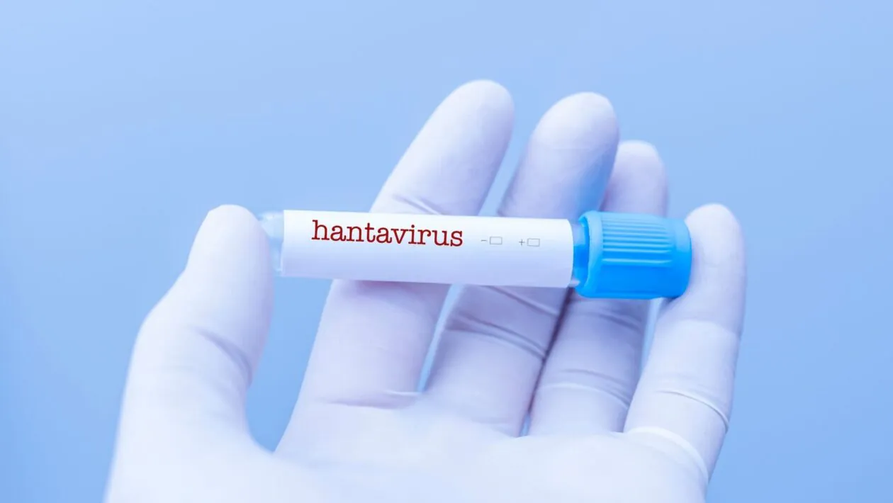 Hantavírus exige atenção em áreas rurais. (Foto: Getty Images via Canva)