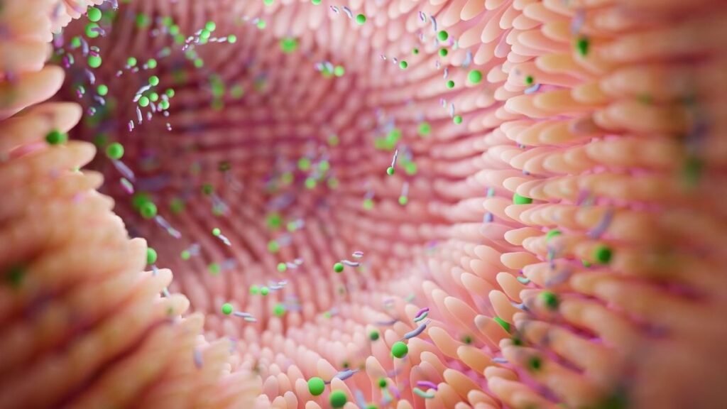 Desequilíbrio intestinal pode agravar Parkinson. (Foto: Troyan Alexandra via Canva)