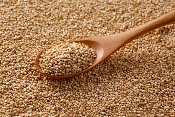 Potássio aumenta nutrientes em microverdes de quinoa. (Foto: Aflo via Canva)