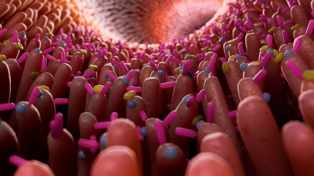 Microbiota alterada pode aumentar risco de câncer de esôfago. (Foto: Getty Images via Canva)