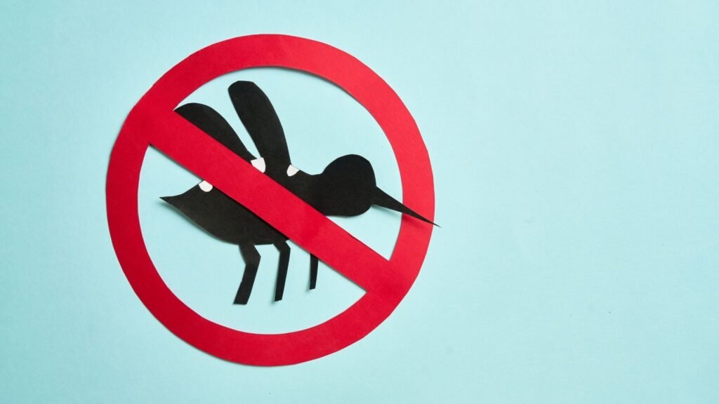 Método biológico reduz casos de dengue no Brasil. (Foto: Fabian Montaño via Canva)