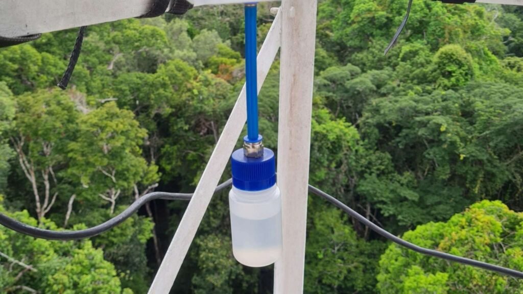 Registro do processo de captação de amostras da névoa amazônica (Imagem: Bruna Sebben/ Acervo Pessoal)

