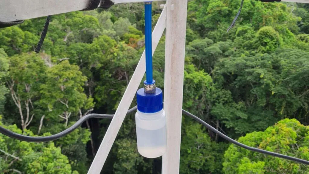Registro do processo de captação de amostras da névoa amazônica (Imagem: Bruna Sebben/ Acervo Pessoal)