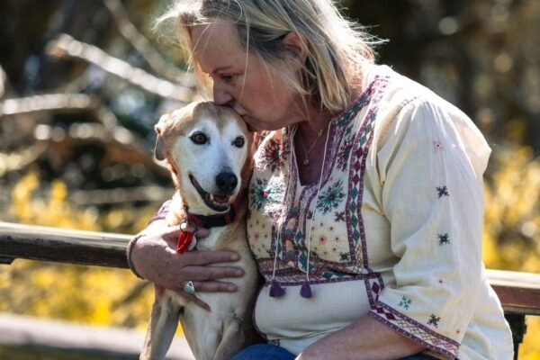 Pets podem ajudar a retardar o declínio cognitivo. (Foto: Pexels via Canva)