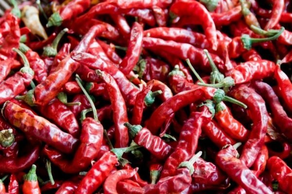 Capsaicina pode beneficiar vasos e colesterol. (Aflo via Canva)