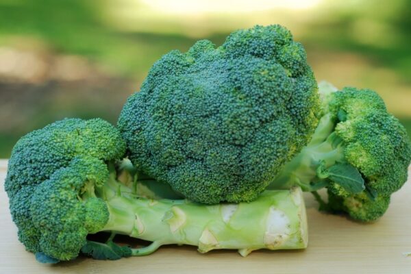 Talos de brócolis têm ação anti-inflamatória natural. (Foto: Getty Images via Canva)