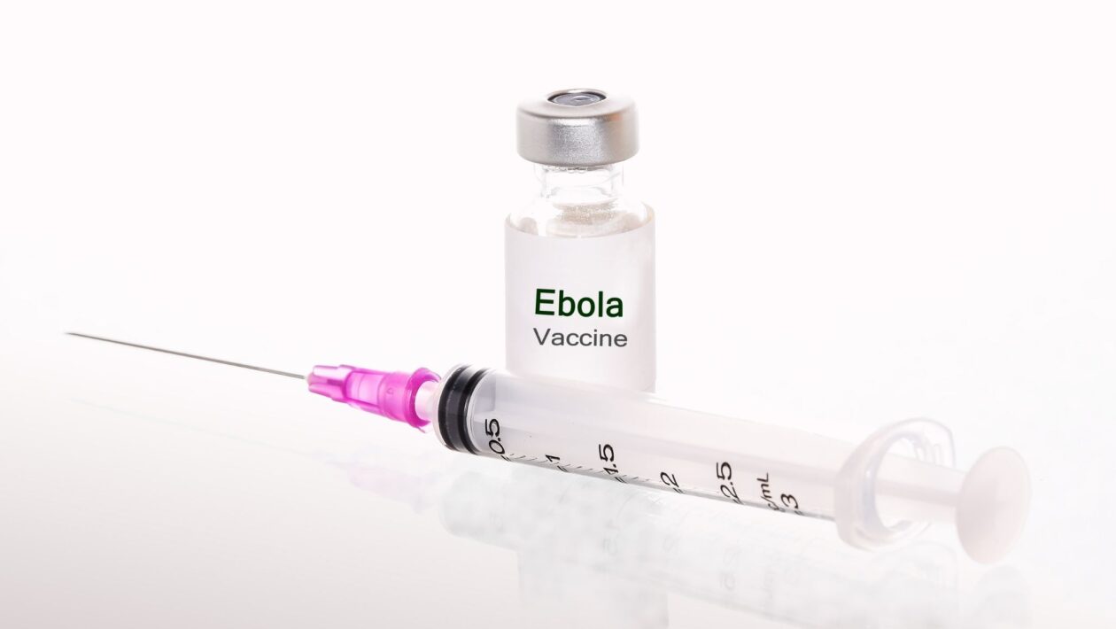 Nova vacina contra ebola deve avançar em meses. (Foto: Getty Images via Canva)