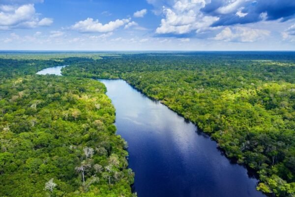 Poeira do Saara ajuda transportar nutrientes essenciais para manter a floresta amazônica saudável. (Imagem: Getty Images via Canva)
