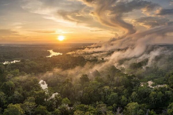 As florestas ajudam a produzir a própria chuva e influenciam o clima muito além de suas fronteiras. (Imagem: Fala Ciência via Gemini)