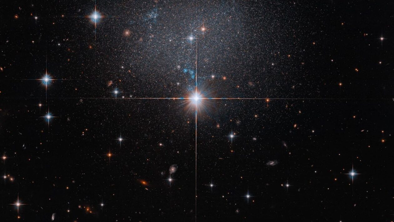 Hubble revela galáxia fantasma quase invisível a 23 milhões de anos-luz. (Imagem: NASA, ESA, R. Tully (Universidade do Havaí); Processamento de imagem: G. Kober (NASA/Universidade Católica da América))