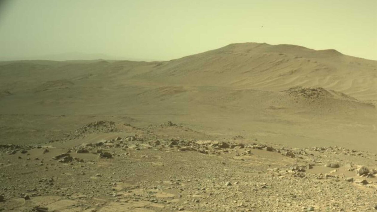Perseverance registrou esta vista marciana com sua Navcam esquerda em 17 de junho de 2026. (Imagem: NASA/JPL-Caltech)