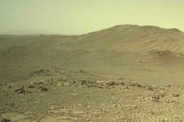 Perseverance registrou esta vista marciana com sua Navcam esquerda em 17 de junho de 2026. (Imagem: NASA/JPL-Caltech)