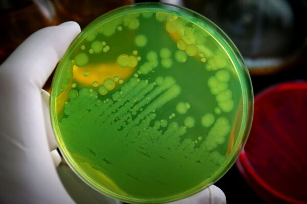 Descoberta ajuda a explicar a resistência bacteriana. (Foto: Getty Images via Canva)