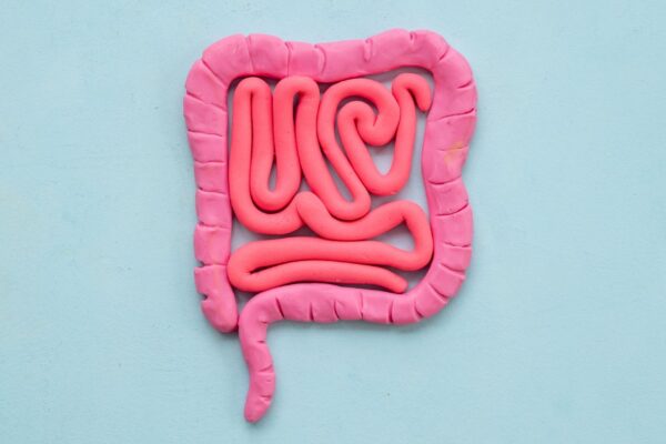 Estudo liga vírus intestinais ao câncer colorretal. (Foto: Getty Images via Canva)