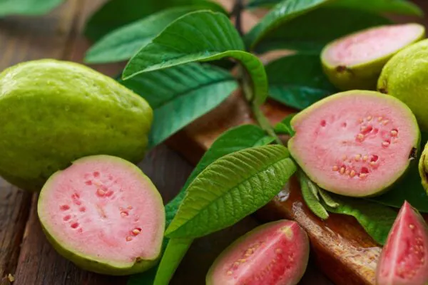 Estudo liga suco de goiaba à melhora da anemia. (Foto: Getty Images via Canva)