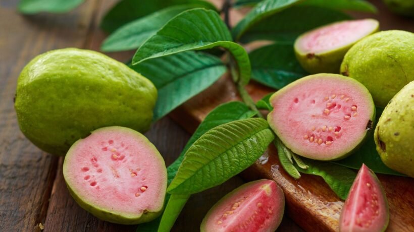 Estudo liga suco de goiaba à melhora da anemia. (Foto: Getty Images via Canva)